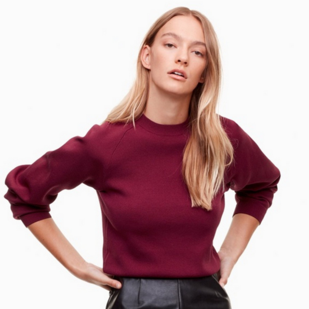 Aritzia Talula Cropped Crew Knit Sweater Rubio